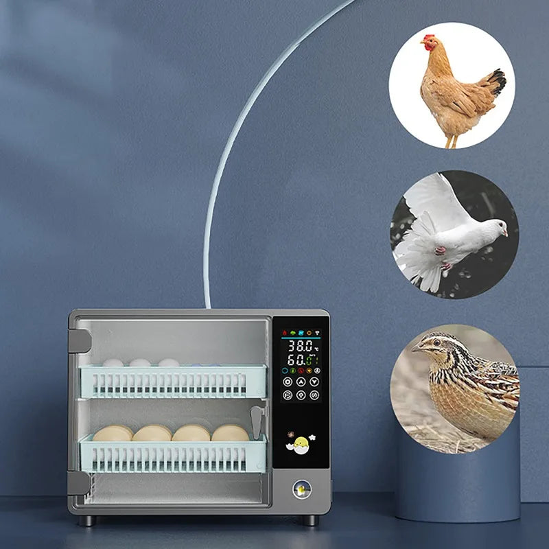 Dreamburgh 24-Egg Fully Automatic Digital Incubator with Auto Turner & Humidity Control