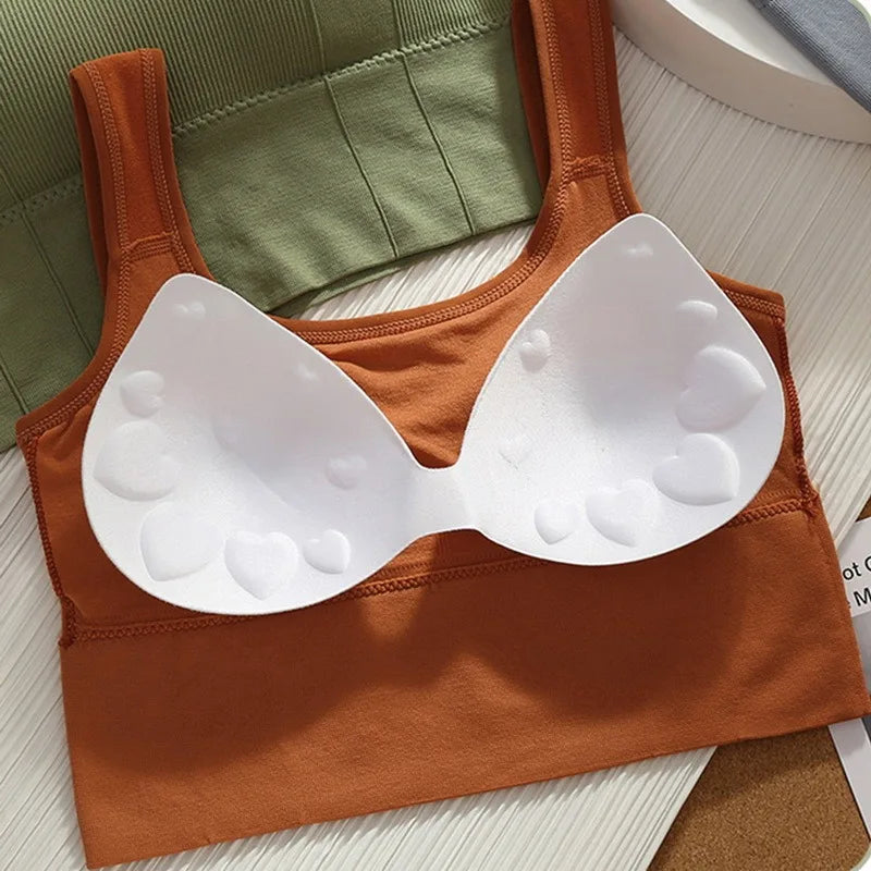 Women’s Activewear Sports Bra