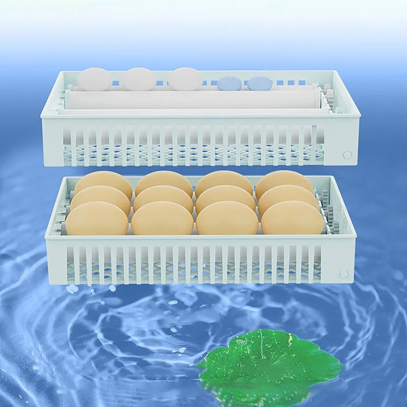 Dreamburgh 24-Egg Fully Automatic Digital Incubator with Auto Turner & Humidity Control
