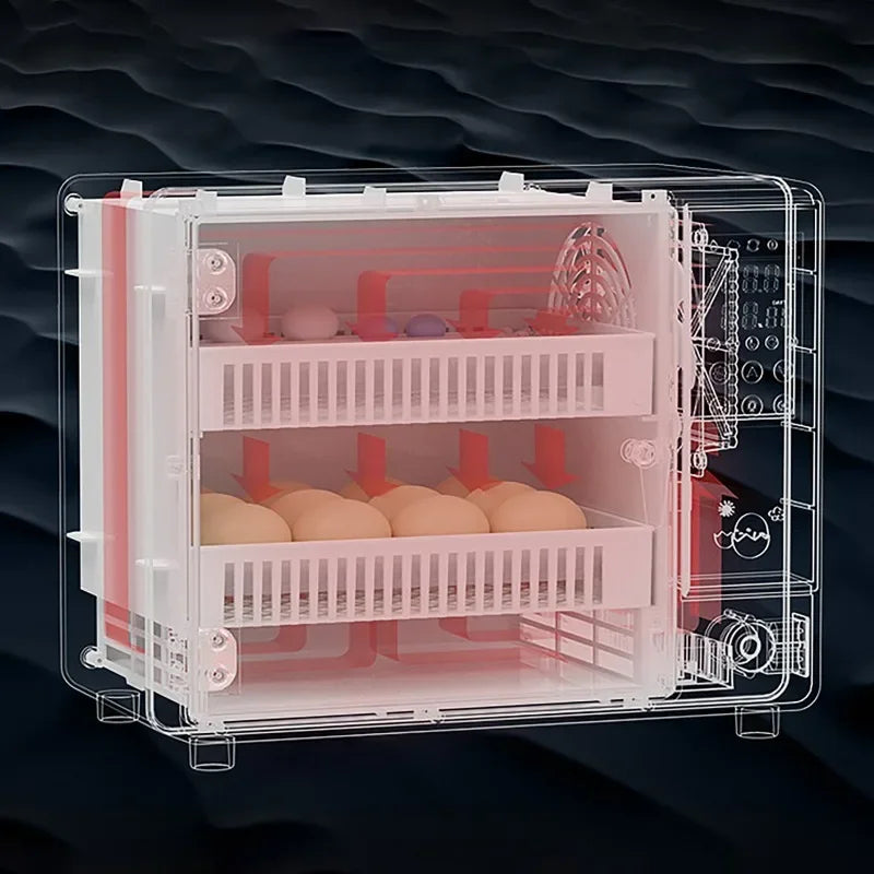 Dreamburgh 24-Egg Fully Automatic Digital Incubator with Auto Turner & Humidity Control