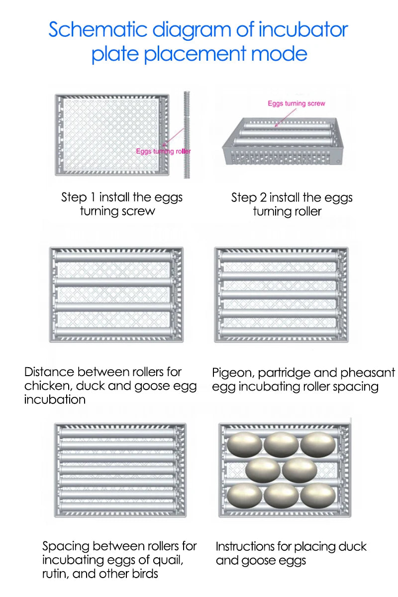 Dreamburgh 24-Egg Fully Automatic Digital Incubator with Auto Turner & Humidity Control
