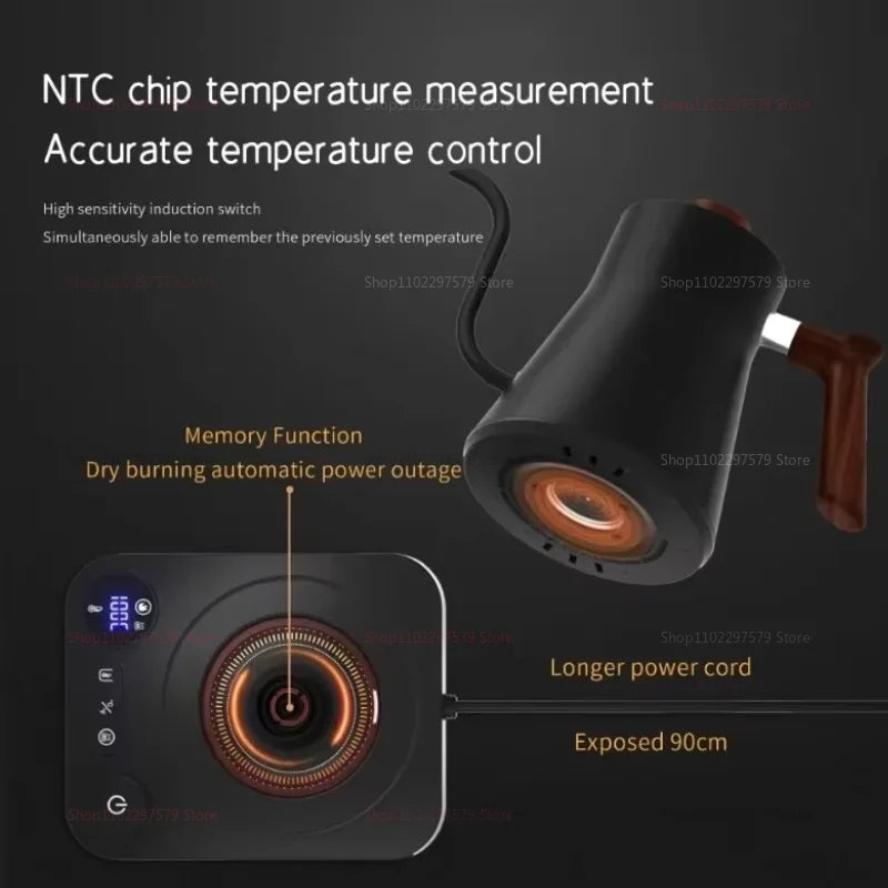 Electric Gooseneck Kettle 900ML – Temperature Control Pour Over Coffee & Tea Kettle