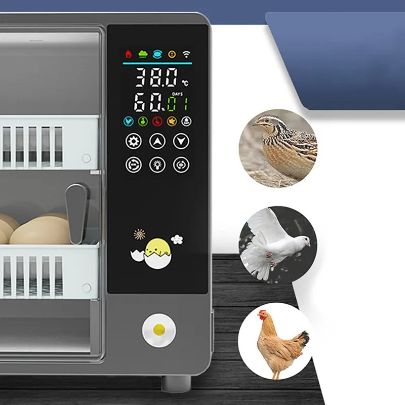 Dreamburgh 24-Egg Fully Automatic Digital Incubator with Auto Turner & Humidity Control