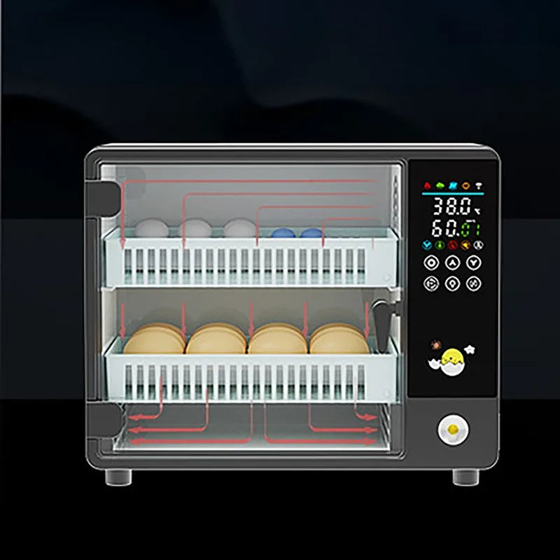 Dreamburgh 24-Egg Fully Automatic Digital Incubator with Auto Turner & Humidity Control