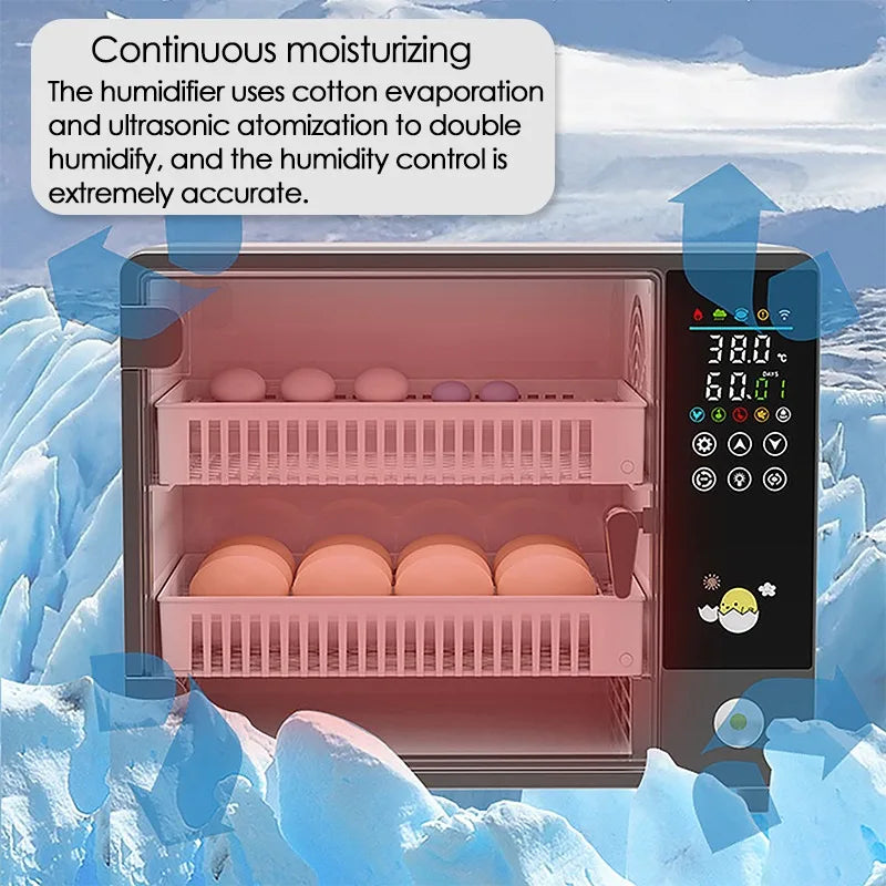 Dreamburgh 24-Egg Fully Automatic Digital Incubator with Auto Turner & Humidity Control