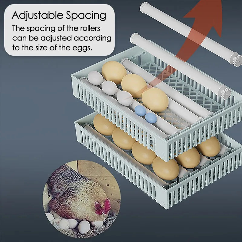 Dreamburgh 24-Egg Fully Automatic Digital Incubator with Auto Turner & Humidity Control