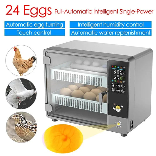 Dreamburgh 24-Egg Fully Automatic Digital Incubator with Auto Turner & Humidity Control