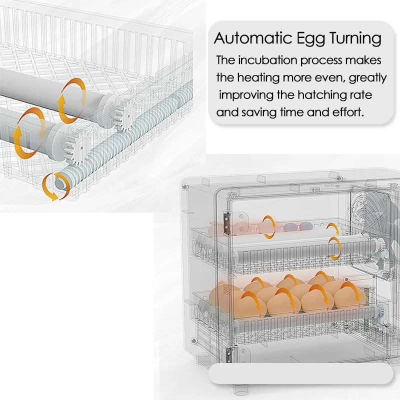 Dreamburgh 24-Egg Fully Automatic Digital Incubator with Auto Turner & Humidity Control