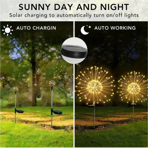 LED SOLAR LIGHTS Style and Sanctuary